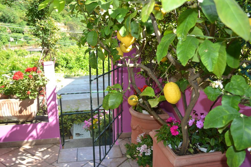 Casa Nobile Bed and Breakfast Tovo San Giacomo Eksteriør billede